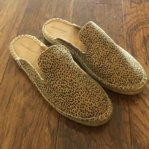 Universal Thread Leopard Mules
